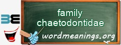 WordMeaning blackboard for family chaetodontidae